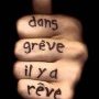 greve-reve